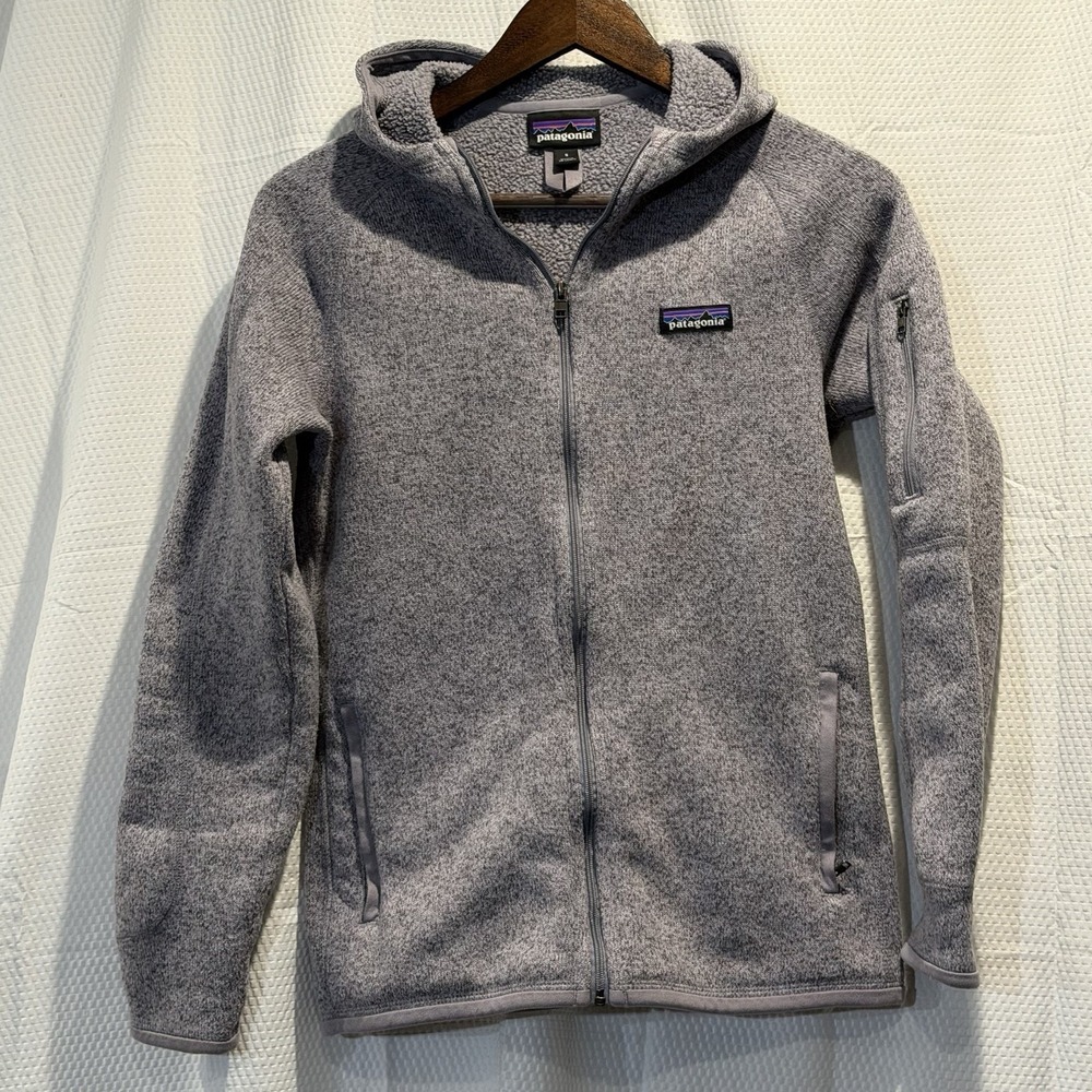 Patagonia Worn Better Performance Sweater Hoody Fleece Jacket RARE SMOKEY VIOLET